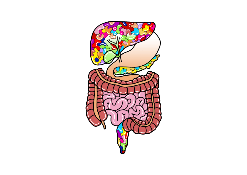 logo gastrologia