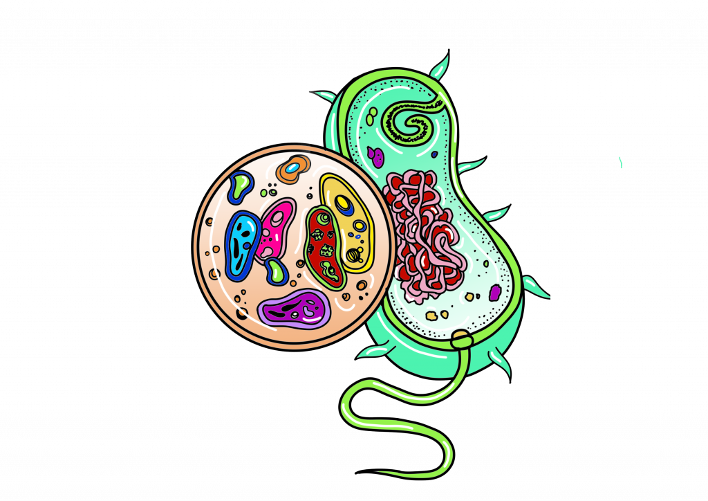 logo malattie infettive