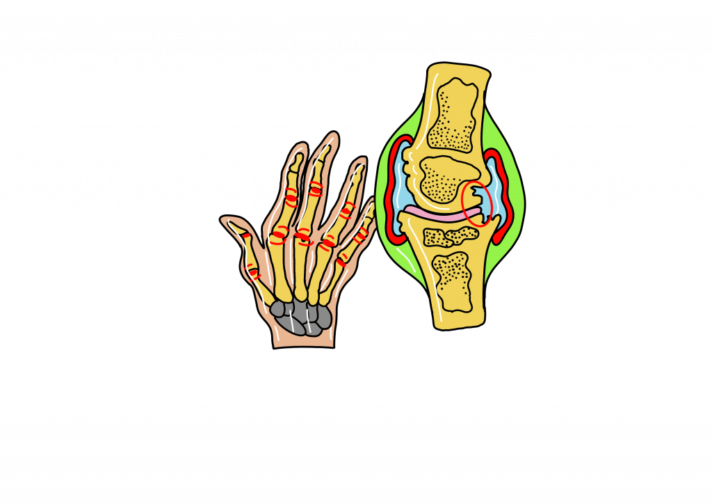 logo reumatologia