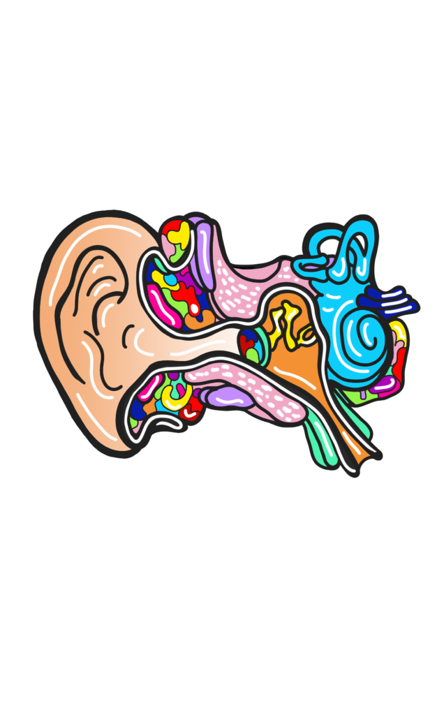 logo Audio e otorino